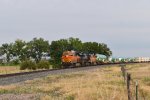 BNSF 8009/NS 8103/BNSF 5685